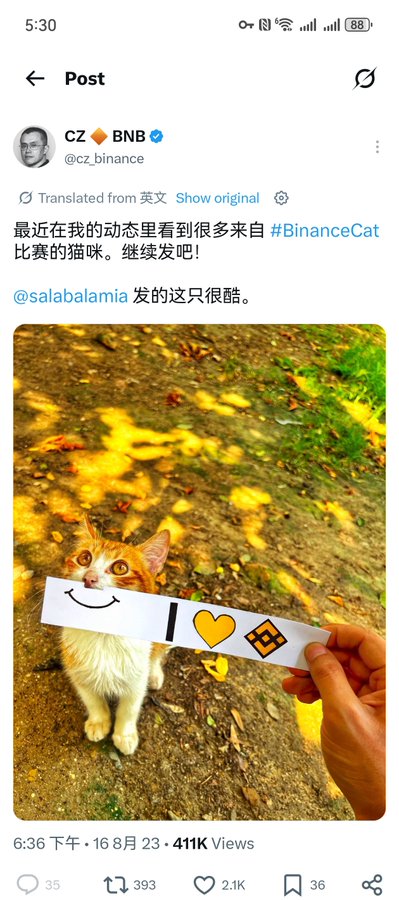 A screenshot of a verified X post by CZ (Changpeng Zhao) of BNB showing an adorable orange cat alongside a sign reading "I ❤️ [BNB logo]," with the text noting more cat sightings from a #BinanceCat contest, connecting to the caption's reference to a 100x memecoin ambush using the contract address 0x66c28ec12ffebee81be7a0865d871bf96ba47777.