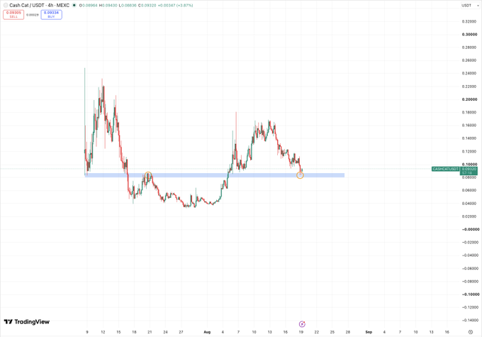 A TradingView chart displays the Cash Cat / USDT pair on MEXC, showing a price of 0.09255 with a 3.67% increase and technical analysis markers including a horizontal support zone.