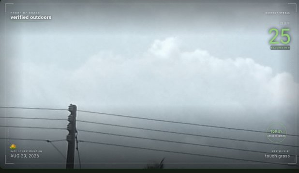 A grayscale image with a green tint shows power lines and a hazy sky, with overlay text including 'PROVE OF GRASS verified outdoors', 'DAY 25', 'RATED AT CERTIFICATION AUG 20, 2026', and 'CERTIFIED BY touch grass'.