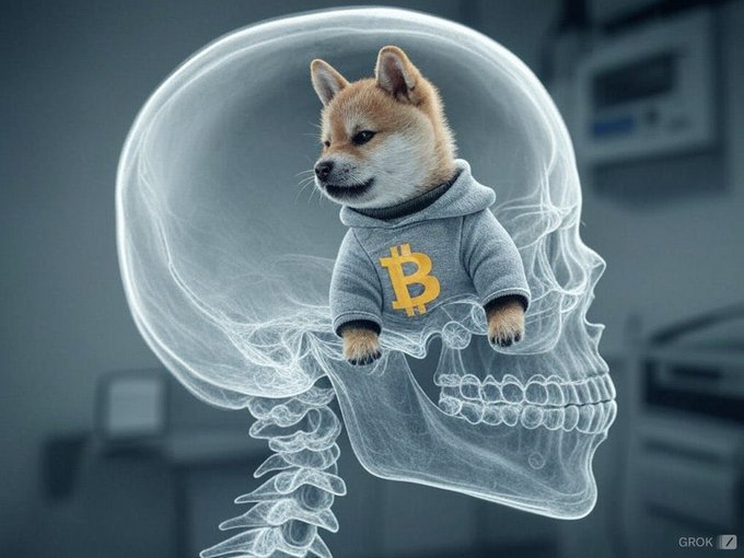 A digital illustration features a Shiba Inu dog wearing a grey hoodie with the Bitcoin 'B' logo, sitting inside a transparent skull with an 'X-ray' effect.