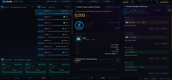 Screenshot of the eCash blockchain explorer dashboard showing mempool, finalization, and trading activity metrics.