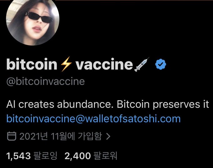 A Twitter/X profile screenshot for "bitcoin ⚡ vaccine 💉" (@bitcoinvaccine) with a verified checkmark, profile photo of a woman with sunglasses, bio reading "AI creates abundance. Bitcoin preserves it," joined November 2021, with 1,543 following and 2,400 followers.