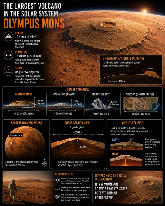 An infographic detailing Olympus Mons, the largest volcano in the solar system, highlighting its massive scale—22 km (14 miles) high, 600 km (372 miles) in diameter, and with gentle slopes of only a few degrees—compared alongside Mauna Loa, Mount Everest, and the U.S. state of Arizona to illustrate how the Martian giant's low gradients and enormous footprint would obscure its true height from a climber's perspective.