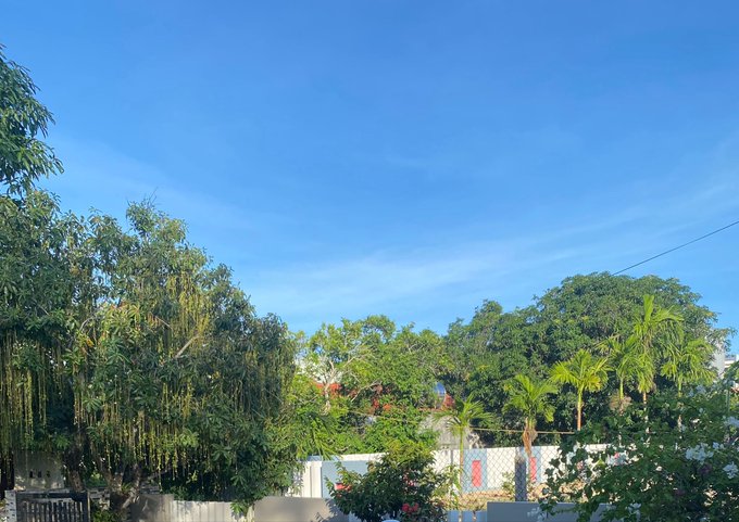A view of lush green trees and a blue sky with wispy clouds above a residential area with a fence.