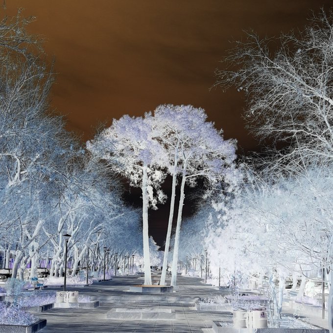 A surreal infrared-style photograph of a tree-lined pedestrian path at night, with white/silver foliage against a dark orange sky, taken with infrared photography techniques.