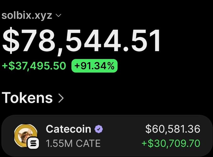 A screenshot of the solbix.xyz portfolio tracker showing a wallet worth $78,544.51 with a +$37,495.50 (+91.34%) gain, featuring a 1.55M Catecoin (CATE) holding valued at $60,581.36 with +$30,709.70 in profit, illustrating the post's claim of over $62,000 in profits on the $CATE trade.