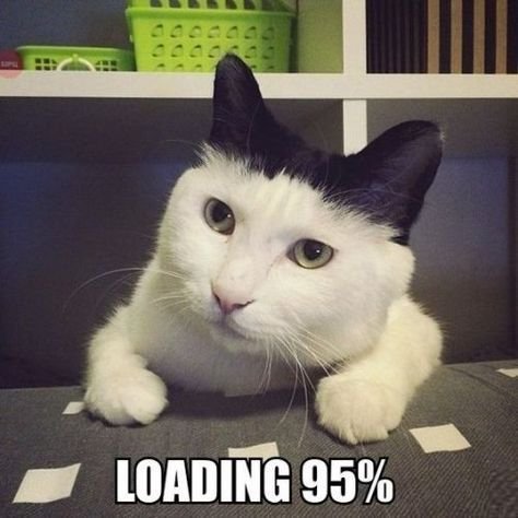 A black and white cat with a serious expression lies with its chin resting on a gray patterned surface, with green baskets on a shelf in the background, and the caption "LOADING 95%" at the bottom.