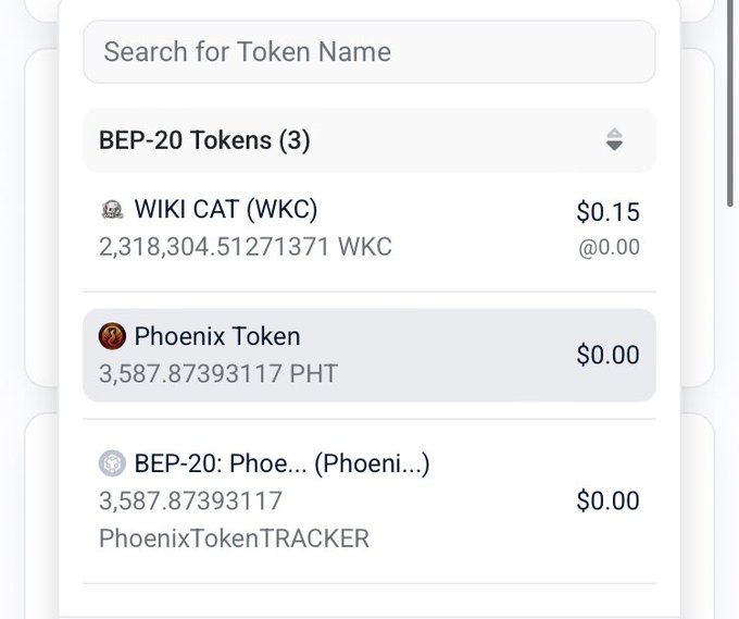 A cryptocurrency wallet interface showing a search bar for 'Token Name' and a list of BEP-20 Tokens (3), including WIKI CAT (WKC) valued at $0.15 and Phoenix Token (PHT) valued at $0.00.