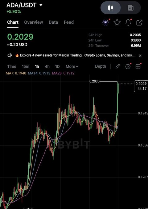Bybit trading chart for ADA/USDT showing a price of 0.2029 USD (+5.90%) with a 24h high of 0.2035 and low of 0.1860, displaying moving averages MA7, MA14, and MA28.