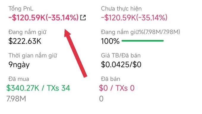 A trading PnL dashboard in Vietnamese showing a total PnL of -$120.59K (-35.14%), with $222.63K currently held, an average cost of $0.0425, and a red arrow pointing to the unrealized loss figure.