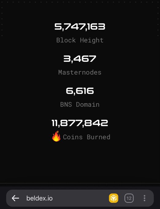 A screenshot from the website beldex.io displaying cryptocurrency statistics: Block Height 5,747,163, Masternodes 3,467, BNS Domain 6,616, and 11,877,842 Coins Burned.