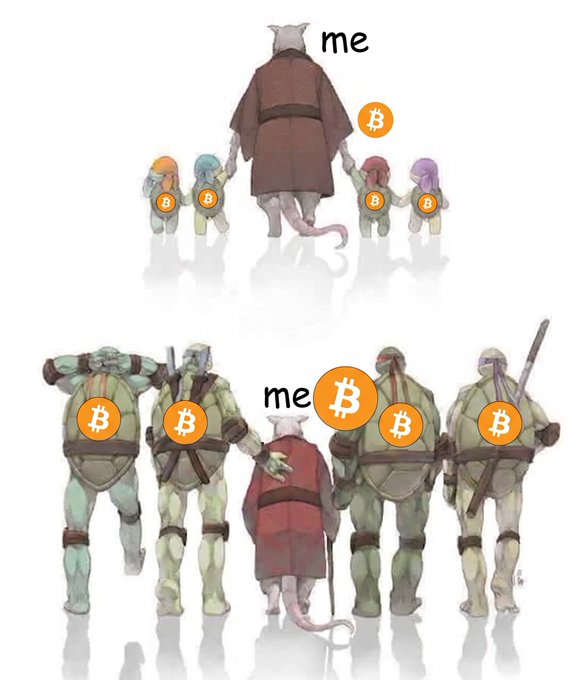 A two-panel meme shows Splinter (labeled 'me') with Bitcoin coins: in the top panel he holds hands with small child turtles who each have one Bitcoin, while in the bottom panel the four grown Ninja Turtles surround him, each now holding multiple Bitcoin coins.
