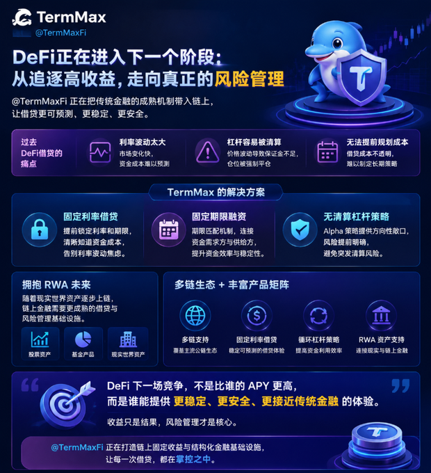 A TermMaxFi Chinese infographic explains 'DeFi is entering the next stage: from chasing high returns to true risk management,' detailing solutions like fixed-rate lending, fixed-term financing, and no-liquidation leverage strategies.