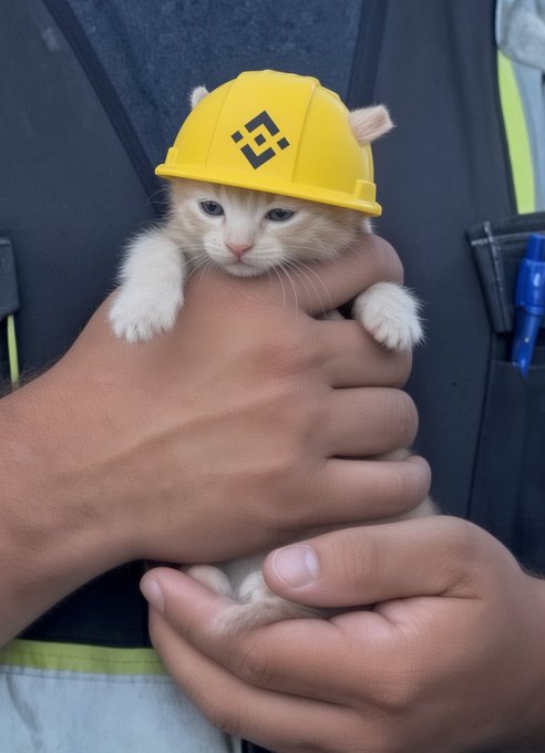A tiny light-colored kitten wearing a yellow Binance hard hat is being gently held in a person's hands against a dark vest.