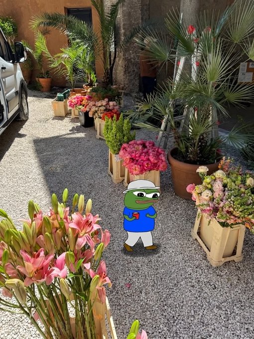 An outdoor flower market display with lilies, roses, and potted plants arranged along a gravel path, featuring a Pepe the Frog cartoon sticker in the center.
