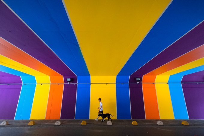 A striking photo of a person walking a black dog across a tunnel illuminated with vibrant rainbow-colored stripes radiating outward.