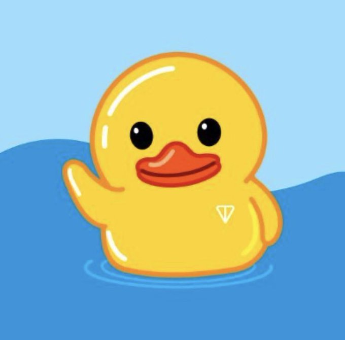 An illustration of a cute yellow rubber duck wearing a small triangular logo, floating in blue water against a light blue background.