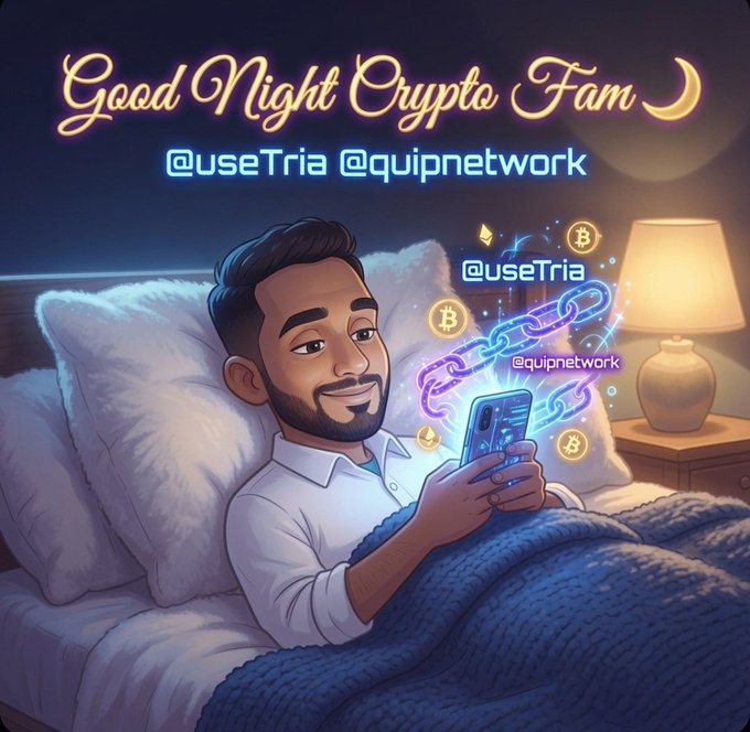 The image features a man lying in bed using his cell phone while surrounded by pillows. The text "Good Night, Crypto Fam Hope you all had a productive day" is displayed above him, suggesting that he has been working or studying on his phone. The post mentions two cryptocurrency companies - @useTria and @quipnetwork - which are related to the man's use of his cell phone in bed.