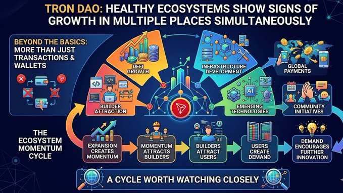 The image features a poster with an elaborate flowchart that illustrates the various aspects of the TRON DAO cryptocurrency system, such as ecosystem activity, transactions, wallets, and growth across different sectors. The title at the top reads "TRON DAO Healthy Ecosystems Show Signs of Growth in Multiple Places Simulaneously". The text at the bottom provides further context on what the flowchart is illustrating.