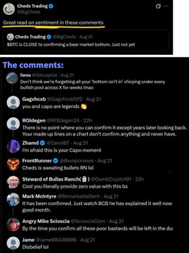The image shows a social media thread from "Cheds Trading" (@BigCheds) discussing Bitcoin market sentiment, featuring a tweet from August 21 stating "Great read on sentiment in these comments" and a follow-up noting "$$BTC is CLOSE to confirming a bear market bottom. Just not yet." Below are various comments from users about confirming market bottoms, with several expressing disagreement or skepticism about Bitcoin's bottom being "in."
