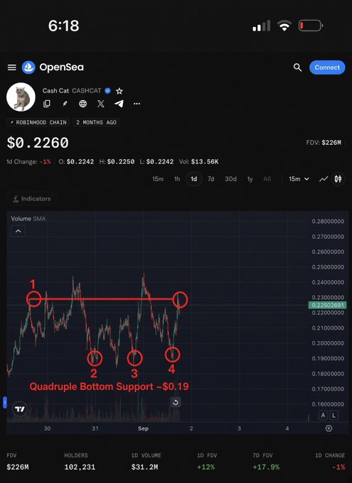 A dark-themed OpenSea cryptocurrency chart for Cash Cat (CASHCAT) showing a price of $0.2260 with annotated 'Quadruple Bottom Support ~$0.19' markings on the price chart.