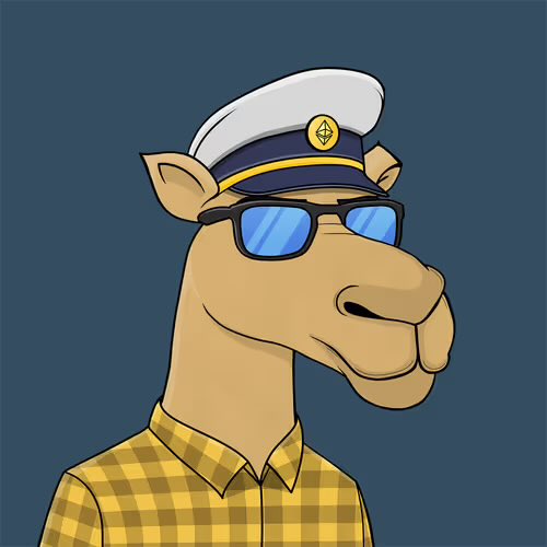 A cartoon illustration of a camel wearing a white captain's hat with a compass emblem and blue-tinted sunglasses, dressed in a yellow plaid shirt against a gray background.