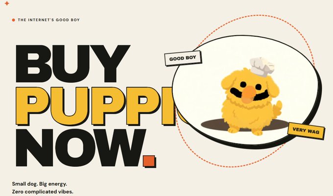 An advertisement featuring text "THE INTERNET'S GOOD BOY" and "BUY PUPPI NOW" alongside an illustration of a fluffy yellow dog wearing a chef's hat, with labels "GOOD BOY" and "VERY WAG."