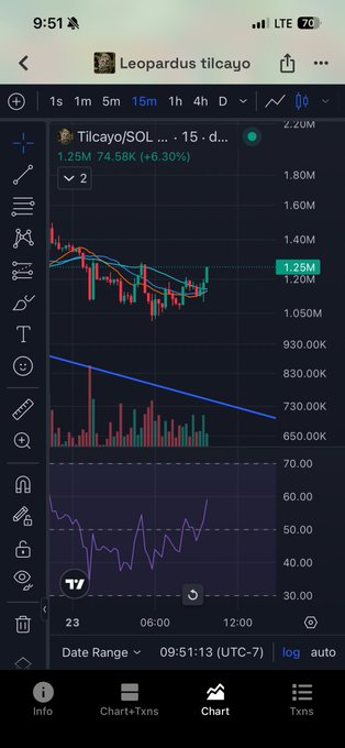 Trading chart showing 'Leopardus tilcayo' / SOL token on a 15-minute timeframe, displaying price of 1.25M (74.58K / +6.30%) with candlestick patterns and volume indicators.
