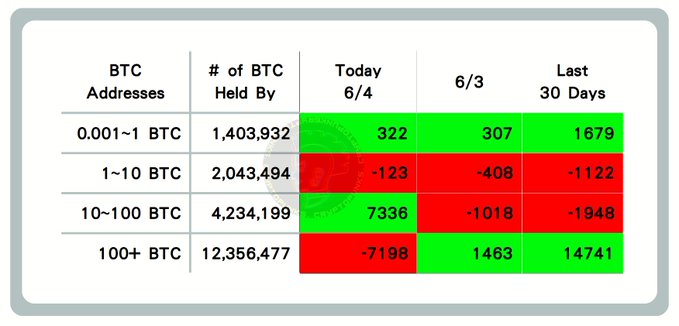 The image shows a table with Bitcoin data displayed across several columns including days, BTC price, and number of BTC addresses held. It also includes other information such as the top 100 addresses that hold Bitcoin and the largest group of addresses that are selling Bitcoin at $BTC. The table has varying colors between red, green, and gray to represent different ranges or periods for Bitcoin prices and address holders. One of the columns shows recent days with a negative price change from 6/6/4 (the last day) to 10/1/4 (the current day), indicating a decrease in Bitcoin value over time.