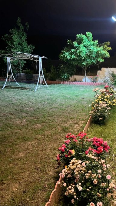 A nighttime photograph of a garden featuring a metal swing bench, trees, and a border of rose bushes in various colors along the grass.