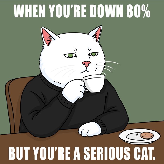 A meme featuring a serious white cat in a black sweater drinking from a teacup, with text reading "WHEN YOU'RE DOWN 80%" at the top and "BUT YOU'RE A SERIOUS CAT." at the bottom.