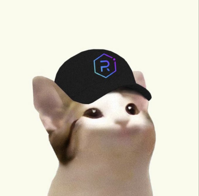 A blurry close-up of a cat wearing a black baseball cap with a purple and blue 'R' logo.