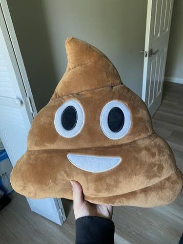 A hand holding a plush pillow shaped like a smiling smiling poop emoji with large eyes, in an indoor setting with wood floors.