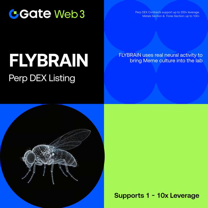 Gate Web3 announces a new $FLYBRAIN Perp DEX listing, featuring a wireframe fly graphic with text noting "FLYBRAIN uses real neural activity to bring Meme culture into the lab," 1-10x leverage, and up to 200x leverage on metals/forex contracts. The post confirms the $FLYBRAIN/USDT trading pair is now open on Gate's Robinhood Zone.