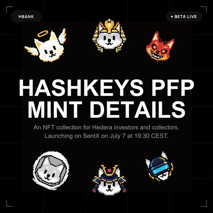 Black promotional graphic titled 'HASHKEYS PFP MINT DETAILS' for an NFT collection on SentX launching July 7 at 19:30 CEST, featuring six pixel-art dog/cat characters.