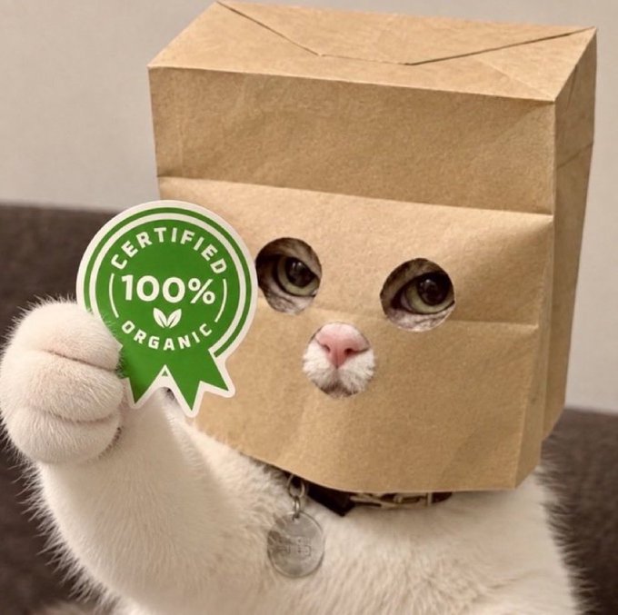 A white cat with a paper bag over its head peers out through cut-out holes, holding up a green "Certified 100% Organic" ribbon badge—visually reinforcing the post's emphasis on "30,000 real, organic, anonymous" holders as genuinely authentic rather than inflated by fomo traders or pump-and-dump copycats.