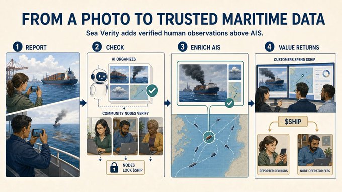 An infographic titled 'FROM A PHOTO TO TRUSTED MARITIME DATA' showing Sea Verity's 4-step process (Report, Check, Enrich AIS, Value Returns) for verifying maritime observations with text noting '$SHIP' rewards for reporters and node operators.