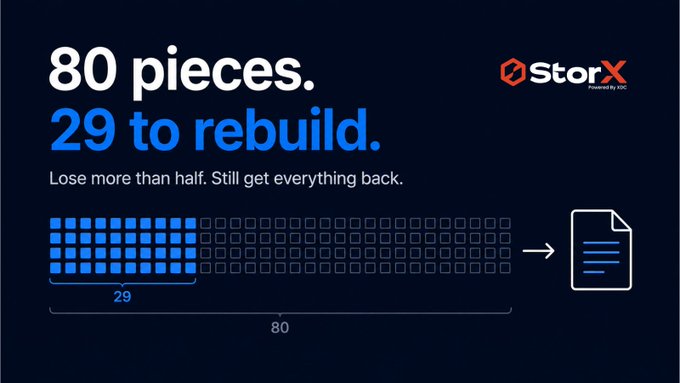 Infographic for StorX (Powered by SSC) advertising erasure coding with the text '80 pieces. 29 to rebuild. Lose more than half. Still get everything back.' showing a grid visualization of 80 squares with 29 highlighted in blue reconstructing a document.