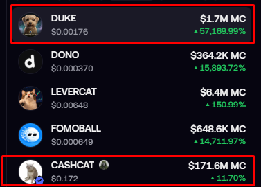 A cryptocurrency listing table highlighting 'DUKE' and 'CASHCAT' in red boxes, showing massive percentage gains alongside other tokens like 'DONO' and 'LEVERCAT'.