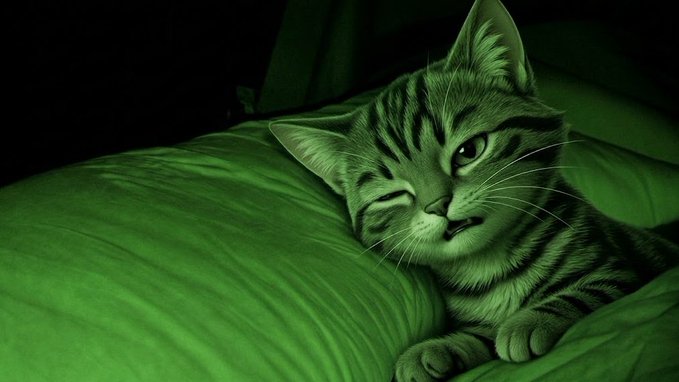 A tabby cat rests on a bed with a greenish tint, winking one eye at the camera in a relaxed pose.