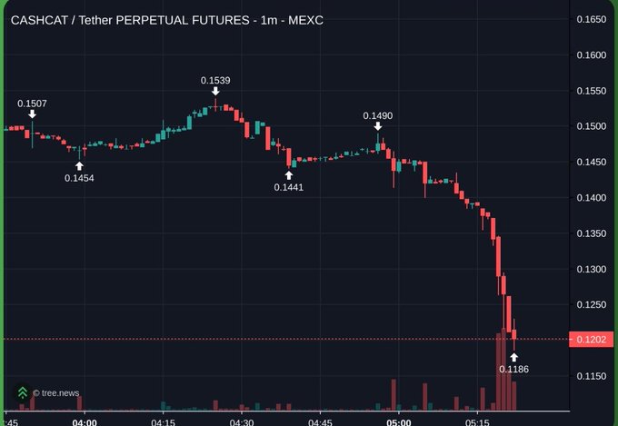 A 1-minute candlestick chart of CASHCAT/USDT perpetual futures on MEXC shows a sharp decline from $0.1539 to $0.1186, with a highlighted support level at $0.1202, illustrating the aggressive dip-buying opportunity referenced in the post about aping the CASHCAT low as a bullish indicator for Robinhood Chain.