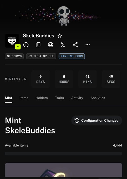 A mobile screenshot displays an NFT collection page called "SkeleBuddies" with a skeleton mascot, showing minting countdown and details like "SEP 2026" and "5% CREATOR FEE."