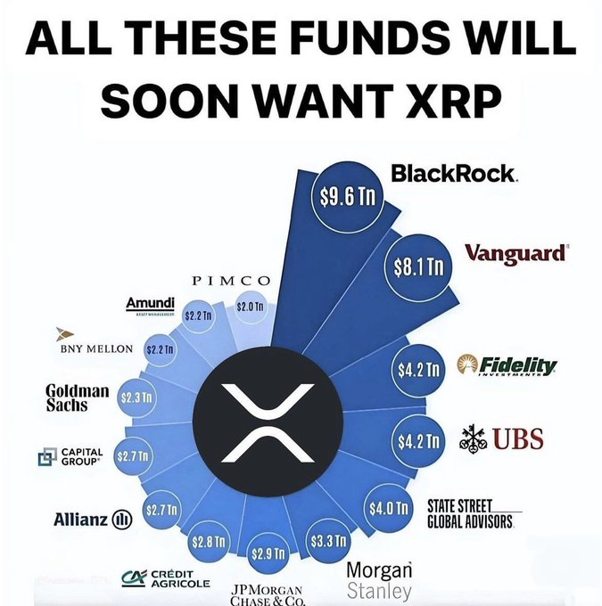 The image features a graph illustrating various types of cryptocurrency exchanges, including Ripple and Kraken. These exchanges are likely seeking investors for their tokenized coins, as indicated by the text surrounding them. The image also includes the names of different companies involved in these exchanges or related industries.