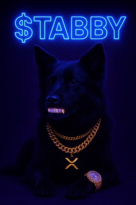 A stylized digital artwork of a black dog wearing gold chains with an 'X' medallion, a diamond-encrusted watch, and grillz, positioned below glowing blue neon text reading "$TABBY".