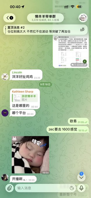 Telegram chat screenshot in Chinese showing a group called '懒羊羊带单群' with 3,229 members, containing messages about trading (置顶消息 #2 about long positions), photos, and conversation about profits at 18:19 and 19:00.