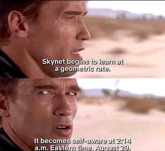 A two-panel meme from the Terminator film features Arnold Schwarzenegger in the desert, with subtitles reading 'Skynet begins to learn at a geometric rate.' and 'It becomes self-aware at 2:14 a.m. Eastern time, August 29.'