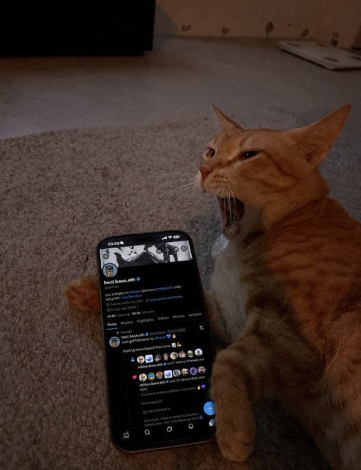 An orange tabby cat yawning on a carpet next to a smartphone displaying the X (formerly Twitter) profile of 'becl.base.eth' showing various posts and comments.