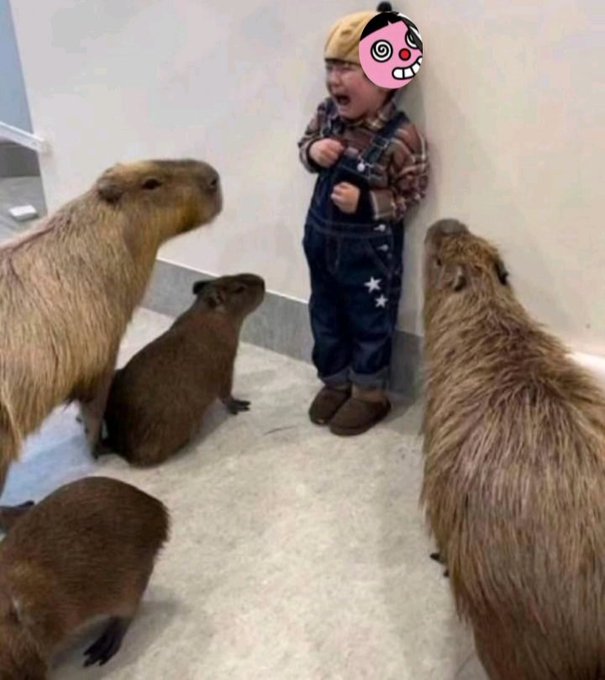 A young child wearing a yellow hat, plaid shirt, and denim overalls stands crying in a corner, surrounded by four capybaras of varying sizes.