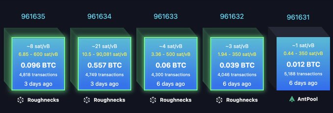 The image displays five recent Bitcoin blocks (961631-961635) mined by Roughnecks and AntPool, showing modest BTC rewards (ranging from 0.012 to 0.096 BTC) with declining hash rates (5,188 to 4,818 transactions) over the past 3-6 days—suggesting a sputtering chain rather than a thriving one.