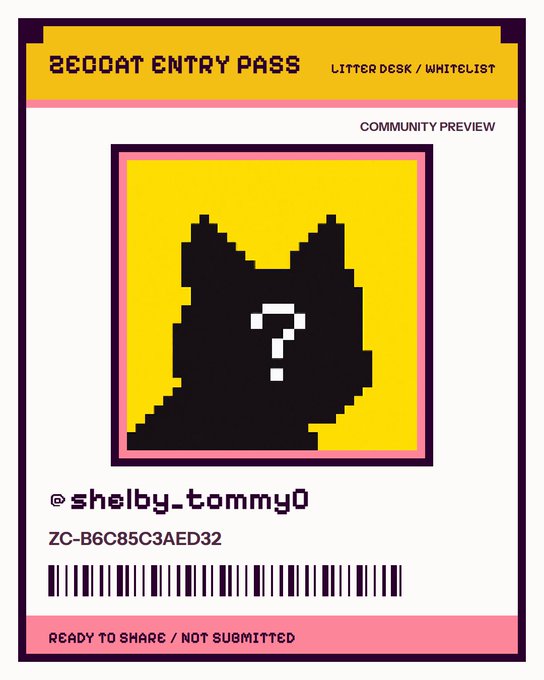 Another 'BEDOAT ENTRY PASS' card shows the same mystery cat design, this time assigned to @shelby.tommy0 with the code ZC-B6C85C3AED32.